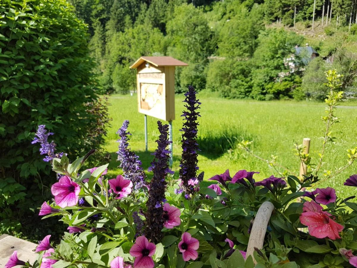 Feriendomizil Wetzelberger Appartement Monichwald Buitenkant foto